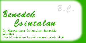 benedek csintalan business card